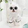 ZH92Dog-Clothes-Small-Dogs-Summer-Puppy-Dress-Cat-Print-Skirt-Bichon-Chihuahua-Black-White-Breathable-Dresses.jpg