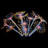 HwsF1Pcs-Silicone-Glowing-Artificial-Fish-Tank-Aquarium-Coral-Plants-Ornament-Underwater-Pets-Decor-Aquatic-Pet-Supplies.jpg