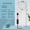 GcQG3W-5V-USB-Aquarium-Light-LED-Waterproof-Fish-Tank-Lighting-Underwater-Fish-Lamp-Aquariums-Decor-Plant.jpg