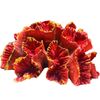 mMoWAquarium-Coral-Ornaments-DIY-Fish-for-Tank-Decoration-Artificial-Reef-Colorful-Resin-Ornament-Eco-friendly-Safe.jpg