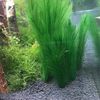 d1DgAquarium-Landscaping-Decoration-Green-Simulation-Water-Grass-Underwater-Ornamental-Plant-Fish-Tank-Decor-Chickweed-Feather-Grass.jpg