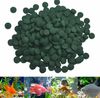 TqvJ10pcs-Astaxanthin-Aquarium-Fish-Tank-Tablet-Pills-Fish-Food-Non-toxic-Supplies-Shrimp-Aquarium-Feeding-Fish.jpg