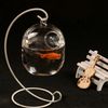 HGbUSuspended-Transparent-Hanging-Glass-Fish-Tank-Infusion-Bottle-Aquarium-Flower-Pl.jpg
