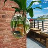6f2AFish-Tank-Clear-Transparent-Wall-Mounted-Acrylic-Creative-Flower-Pot-For-Home-Accessories-Gardening-Aqu-rio.jpg