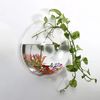 aUNHFish-Tank-Clear-Transparent-Wall-Mounted-Acrylic-Creative-Flower-Pot-For-Home-Accessories-Gardening-Aqu-rio.jpg