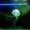 0QDRAquarium-Artificial-Luminous-Lionfish-Fish-Tank-Landscape-Silicone-Fake-Fish-Floating-Glow-In-Dark-Ornament-Home.jpg