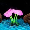 j8YfLuminous-Anemone-Simulation-Artificial-Plant-Aquarium-Decor-Plastic-Underwater-Weed-Grass-Aquarium-Fish-Tank-Decoration-Ornament.jpg