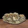 G2EfAnimals-Skull-Fish-Tank-Fossil-Dinosaur-Ornaments-Aquarium-Rhinoceros-Bone-Decoration-Fishbowl-Crocodile-Jellyfish-Carp-Turtle.jpg