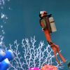 CYdWAquarium-Decoration-Diver-with-Floating-Ball-Betta-Fish-Landscaping-Accessories.jpg