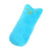 i2mX2022-Catnip-Toys-Funny-Interactive-Plush-Teeth-Grinding-Cat-Toy-Kitten-Chewing-Toy-Claws-Thumb-Bite.jpg