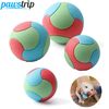 nYFHPet-Dog-Toys-Bite-Resistant-Bouncy-Ball-Toys-for-Small-Medium-Large-Dogs-Tooth-Cleaning-Ball.jpg