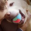 0bAWPet-Dog-Toys-Bite-Resistant-Bouncy-Ball-Toys-for-Small-Medium-Large-Dogs-Tooth-Cleaning-Ball.jpg