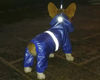 2uTcPet-Dog-Waterproof-Raincoat-Jumpsuit-Reflective-Rain-Coat-Sunscreen-Dog-Outdoor-Clothes-Jacket-for-Small-Dog.jpg