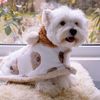 QPpuWinter-Pet-Dog-Clothes-Cloak-Blanket-French-Bulldog-Puppy-Warm-Windproof-Jacket-Dog-Clothes-for-Small.jpg