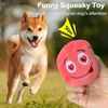 Po8eDog-Toy-Play-Squeakers-Ball-Chewing-Toy-Fetch-Bright-Balls-Dog-Supplies-Puppy-Popular-Toys-Interactive.jpg