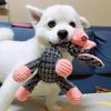 BjEcCDDMPET-Fun-Pet-Toy-Donkey-Shape-Corduroy-Chew-Toy-For-Dogs-Puppy-Squeaker-Squeaky-Plush-Bone.jpg