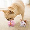 7qKNPuppy-Ball-Active-Moving-Pet-Plush-Toy-Singing-Dog-Chewing-Squeaker-Fluffy-Toy.jpg