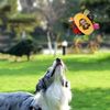 EAckPlush-Dog-Vocal-Toy-Ball-Funny-Interactive-Pet-Toys-with-Bells-Cleaning-Tooth-Chew-Toy-For.jpg