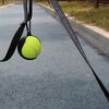 YJuSLightweight-Tennis-Ball-Holder-with-Dog-Leash-Attachment-Hands-Free-Pet-Ball-Cover-Holder-Portable-Tennis.jpg