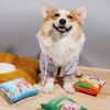 nk7zSqueaky-Dog-Chew-Toys-Potato-Chips-Bag-Shaped-Pet-Chew-Soft-Plush-Interactive-Toy-Dogs-Cats.jpg