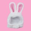 e8eVPet-Products-Rabbit-Ears-Headdress-Pet-Plush-Rabbit-Hat-Bunny-Ears-Cats-Dogs-Performance-Props-Cosplay.jpg