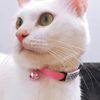E1RJPersonalized-1cm-Width-Cat-Collar-with-Bell-Safe-Breakaway-Cats-Collars-Quick-Release-Cute-Necklace-Free.jpg