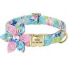 j1xvCustom-Dog-Accessoeies-Collar-Personalized-Printed-Engraved-Pet-Puppy-ID-Collar-For-Small-Medium-Large-Dogs.jpg