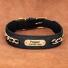 xIRRCustom-Leather-Dog-Collar-Accessories-Personalized-ID-Tag-Nameplate-Collars-For-Small-Medium-Large-Dogs-French.jpg
