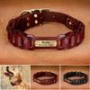 Z5vlGenuine-Leather-Dog-Collar-Custom-Leather-Medium-Large-Dog-Collars-Personalized-Pet-ID-Collars-for-Dogs.jpg