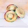 NgeQMini-Pet-Dogs-Straw-Hat-Sombrero-Cat-Sun-Hat-Beach-Party-Straw-Hats-Dogs-Hawaii-Style.jpg