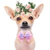 qwh120pcs-Lace-Pet-Dog-Bowties-Sequin-Angel-Wing-Fashion-Bulk-Dog-Bow-Tie-Collar-for-Medium.jpg