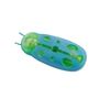 g4ePPet-Interactive-Mini-Electric-Bug-Cat-Toy-Cat-Escape-Obstacle-Automatic-Flip-Toy-Battery-Operated-Vibration.jpg