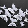 pvNQLarge-Size-12Pcs-Set-3D-Double-Layer-White-Butterfly-Wall-Sticker-Home-Decoration18cm-Butterflies-On-Wall.jpg