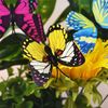 lkfcBunch-of-Butterflies-Garden-Yard-Planter-Colorful-Whimsical-Butterfly-Stakes-Decoracion-Outdoor-Decor-Gardening-Decoration.jpg