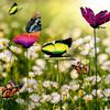PI8xBunch-of-Butterflies-Garden-Yard-Planter-Colorful-Whimsical-Butterfly-Stakes-Decoracion-Outdoor-Decor-Gardening-Decoration.jpg