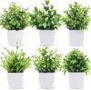 M4JxArtificial-Bonsai-Green-Fake-Plant-Eucalyptus-Flower-Potted-Plant-For-Indoor-Outdoor-Home-Bedroom-Garden-Decoration.jpg