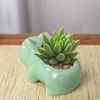 OVedCreative-Ceramic-Mini-Flowerpot-Succulent-Planter-Cute-Green-Plants-Planter-Flower-Pot-with-Hole-Home-Garden.jpg
