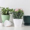 DQ1EHome-Garden-Pots-with-Tray-Planters-Flower-Plant-Pots-Multi-Color-Flower-Seedling-Nursery-Pots-with.jpg