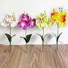pBonCreative-Flowers-Fancy-Four-Butterfly-Orchid-Meaty-Plant-Bonsai-Flower-Arranging-Accessories-SP99.jpg