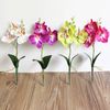 WPS7Creative-Flowers-Fancy-Four-Butterfly-Orchid-Meaty-Plant-Bonsai-Flower-Arranging-Accessories-SP99.jpg