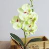 fULVCreative-Flowers-Fancy-Four-Butterfly-Orchid-Meaty-Plant-Bonsai-Flower-Arranging-Accessories-SP99.jpg