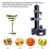 oXGtMultifunction-Electric-Peeler-For-Fruit-Vegetables-Automatic-Stainless-Steel-Apple-Peeler-Kitchen-Potato-Cutter-Machine.jpg
