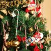 jLY3Christmas-Candy-Canes-Acrylic-Xmas-Tree-Hanging-Twisted-Crutch-Pendant-New-Year-Christmas-Party-Home-Decoration.jpg