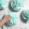 ws4N5pcs-Wedding-Decorative-Paper-Pompoms-Pom-Poms-Flower-Balls-Party-Home-Decor-Tissue-Birthday-Christmas-DIY.jpg