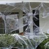 AJHTHalloween-Decorations-Artificial-Spider-Web-Super-Stretch-Cobwebs-with-Fake-Spiders-Scary-Party-Scene-Decor-Horror.jpg
