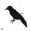 m3mrSimulation-Halloween-Black-Raven-Crow-Natural-Prop-Scary-Pest-Repellent-Control-Pigeon-Repellent-Raven-Decoration-Party.jpg