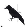 O885Simulation-Halloween-Black-Raven-Crow-Natural-Prop-Scary-Pest-Repellent-Control-Pigeon-Repellent-Raven-Decoration-Party.jpg