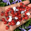 YBqiRed-Acrylic-Ladybug-Self-Adhesive-Stickers-Home-Wedding-Party-Decor-Handicrafts-Halloween-Gifts-DIY-Potted-Plants.jpg