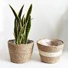 Ptz5Straw-Weaving-Flower-Plant-Pot-Basket-Grass-Planter-Basket-Indoor-Outdoor-Flower-Pot-Cover-Containers-for.jpg