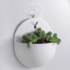 dAwi2660-DIY-Pendant-Plant-Pot-Indoor-Plastic-Planter-Wall-Hanging-Flowers-Cover-Round-Plant-Pot-Indoor.jpg
